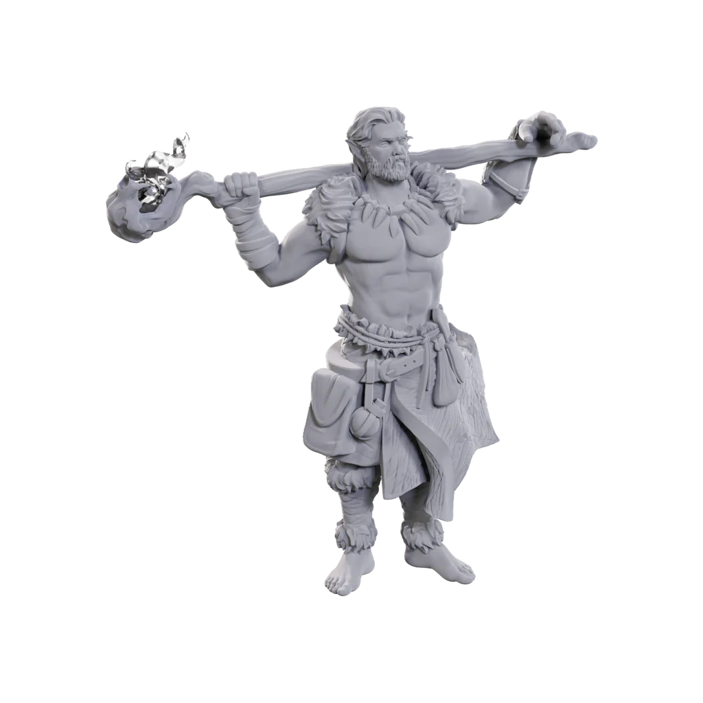 D&D Mini: Archdruid & Martial Arts Adept
